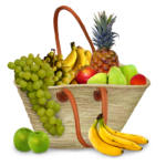 Image by Gerhard G. from Pixabay