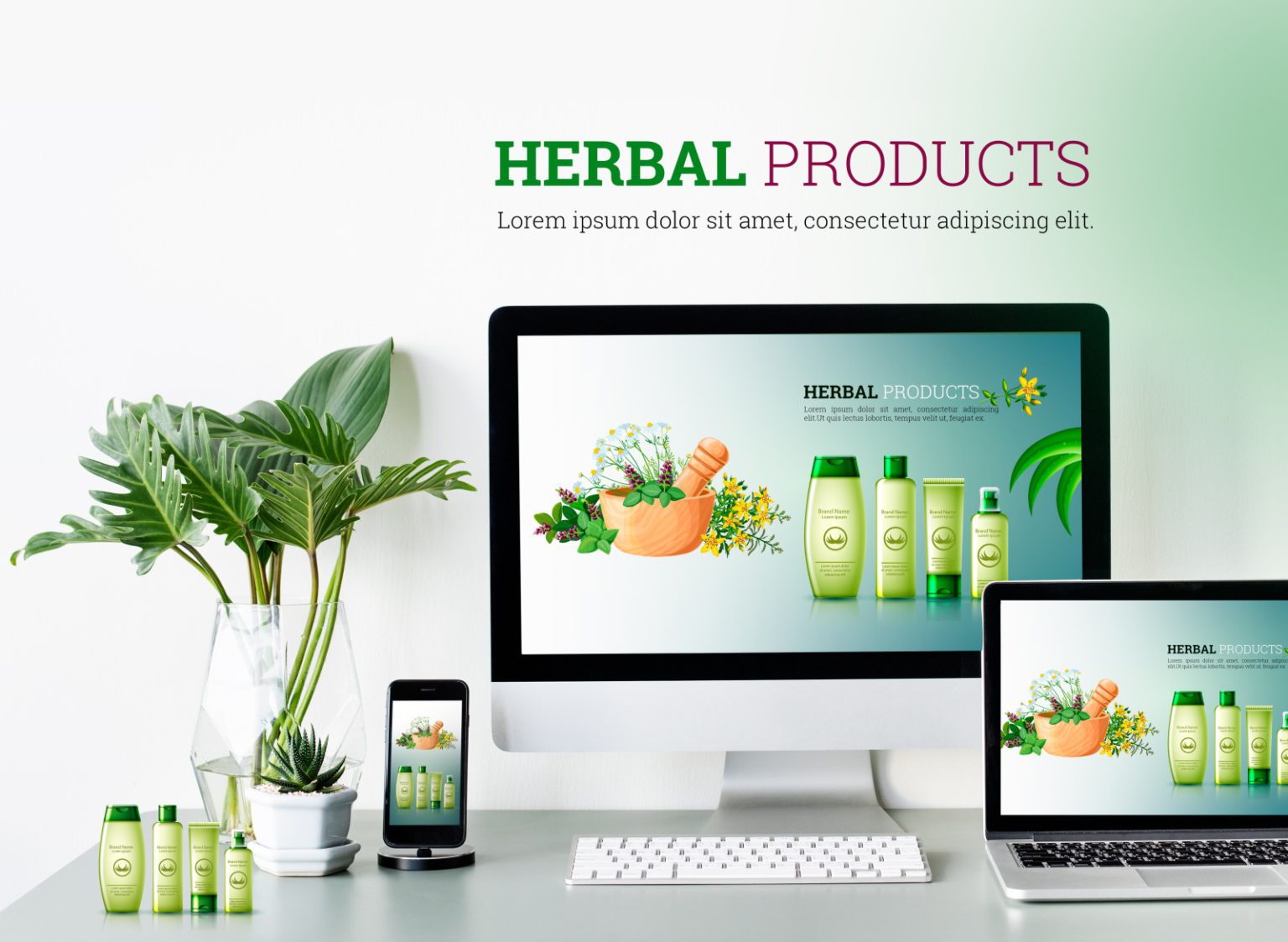 herbal beauty products business plan