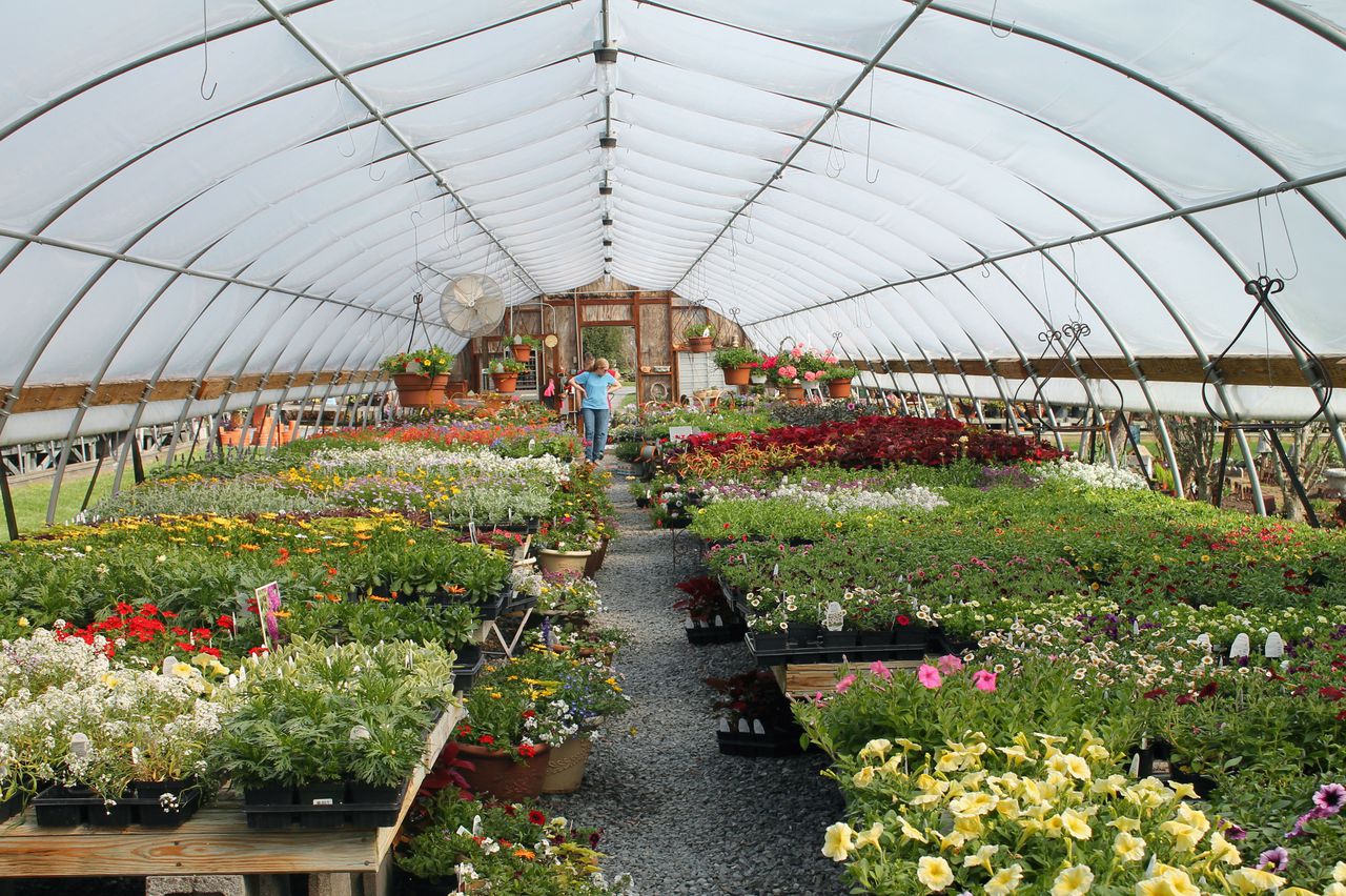 A Complete Guide To Marketing Strategy For Plant Nursery Welp Magazine - How Much Does A Plant Nursery Owner Make