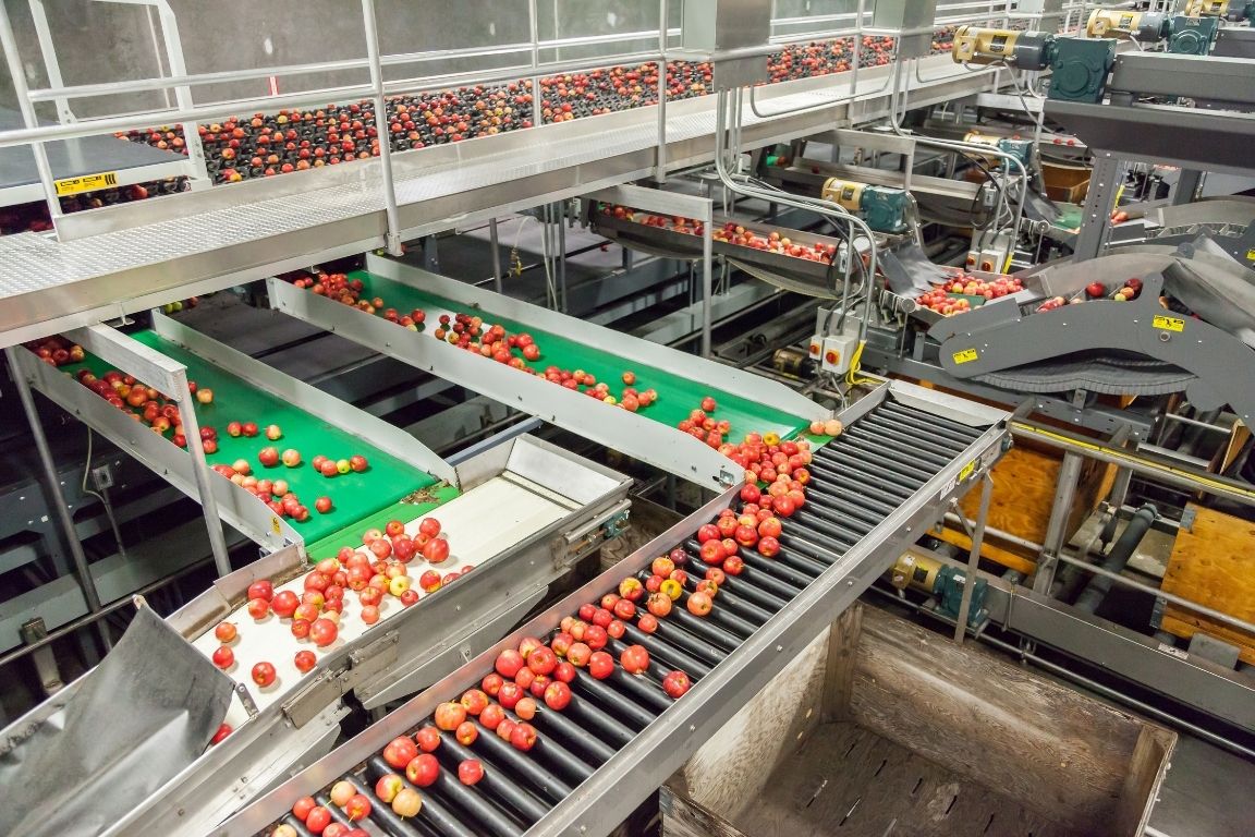 How To Increase Productivity in Food Manufacturing
