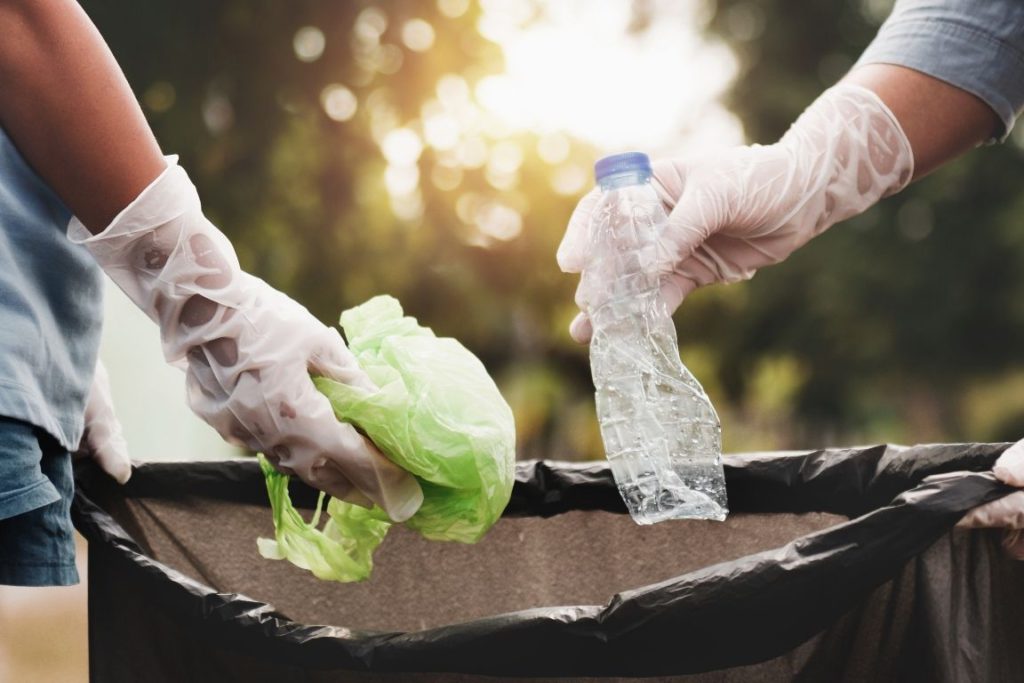 Tips for Building a Green Initiative for Your Business