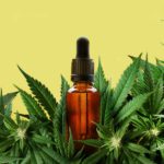 CBD Industry Insights For 2022 - Why It's Not Too Late To Tap Into The CBD Market
