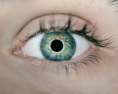 Israel Breakthrough: 3D-Printed Cornea and Donor-Free EndoArt Restore Eye Sight