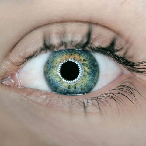 Israel Breakthrough: 3D-Printed Cornea and Donor-Free EndoArt Restore Eye Sight