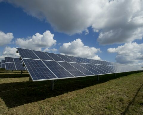 Climate technology startups: solar panels powering a hotter world
