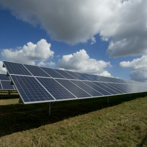 Climate technology startups: solar panels powering a hotter world