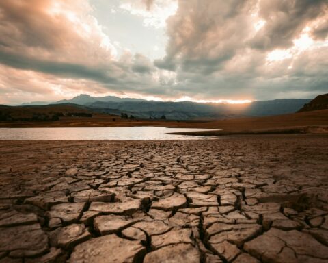 El Nino impact 2026: cracked dry earth during drought