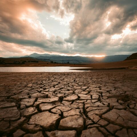 El Nino impact 2026: cracked dry earth during drought