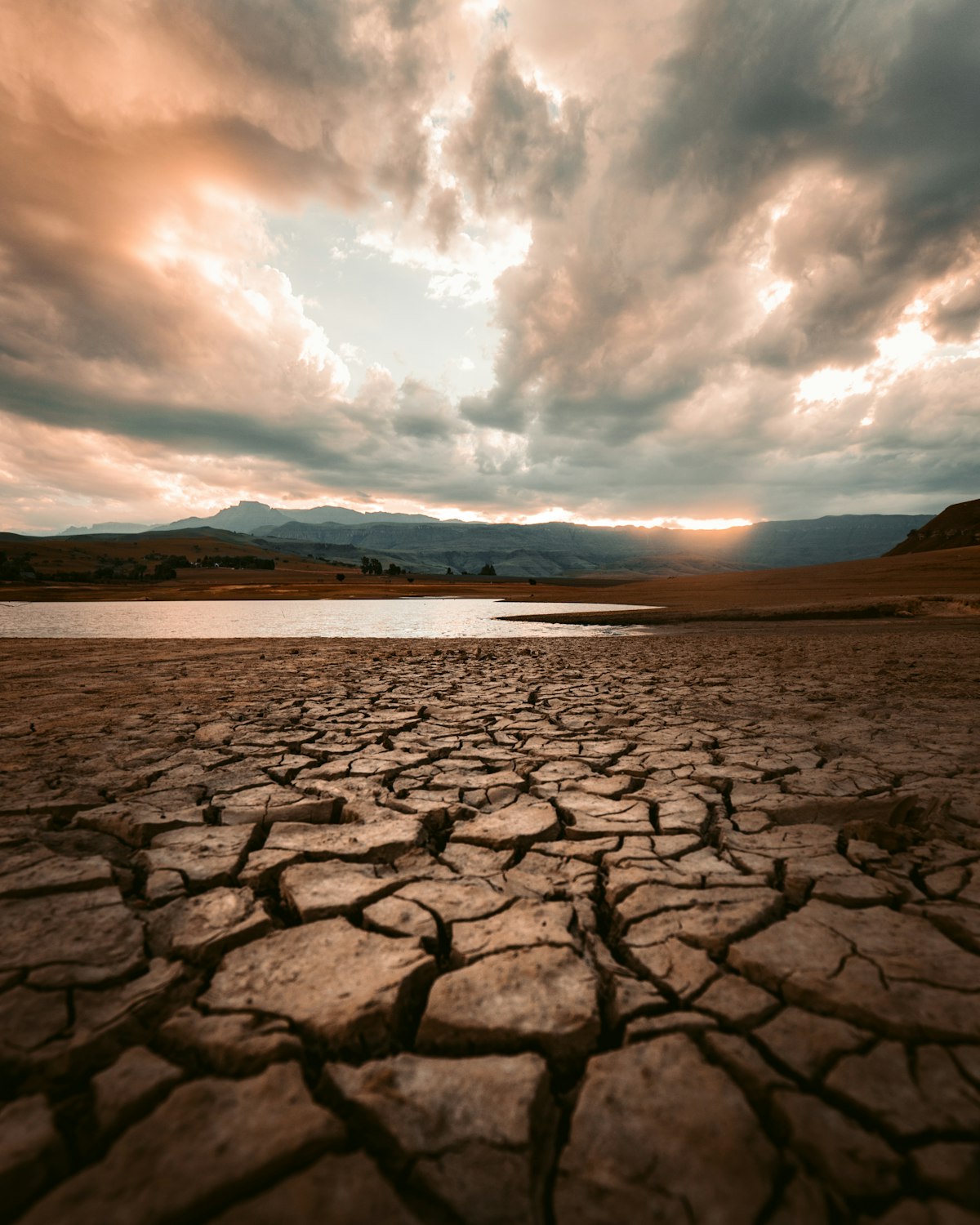 El Nino impact 2026: cracked dry earth during drought